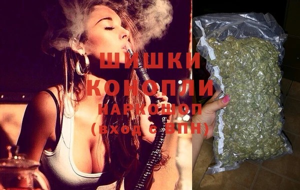 винт Щигры