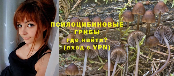 гашик Щёлкино