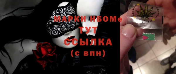 винт Щигры