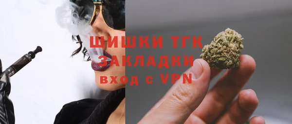 винт Щигры