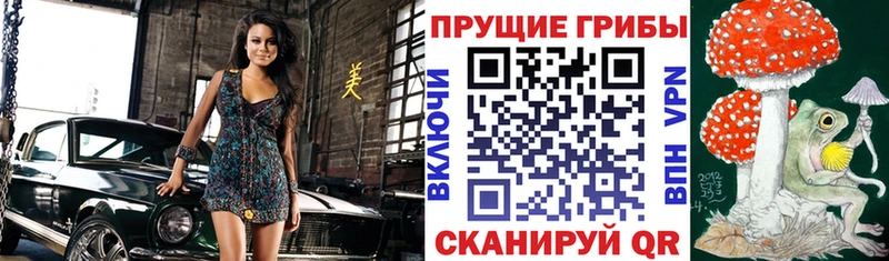 Псилоцибиновые грибы GOLDEN TEACHER  Кизляр 